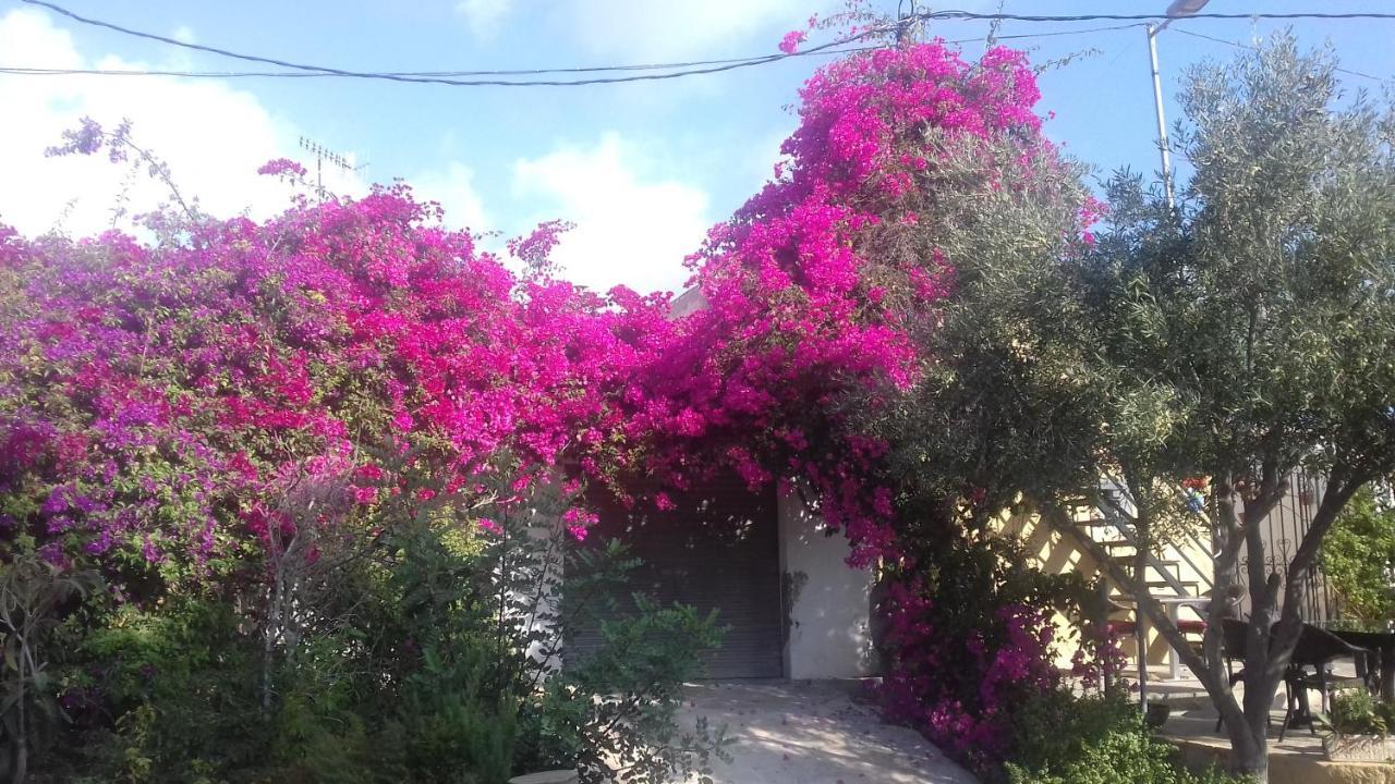 Casa Los Cerezos Villamartin Exterior foto